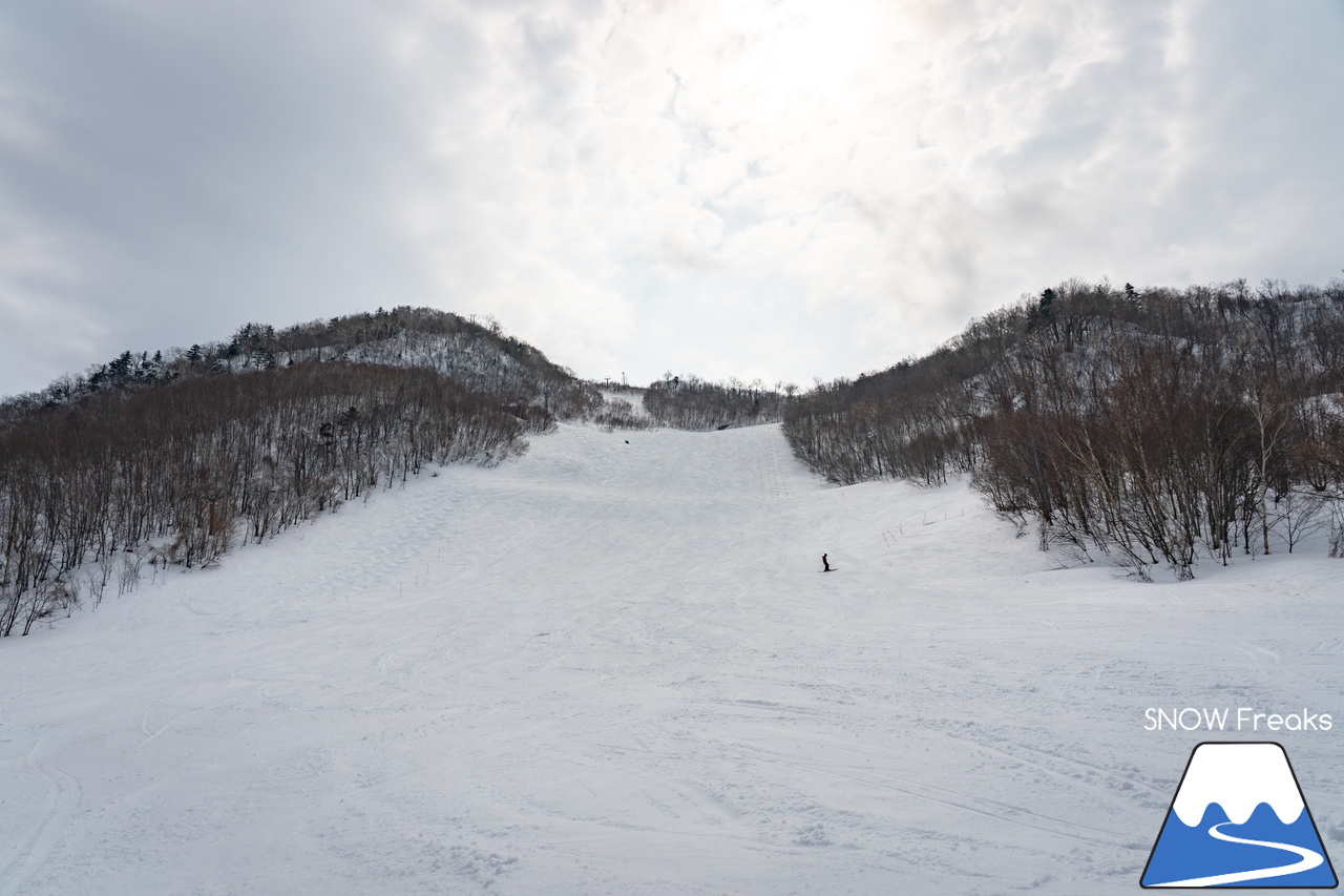 サッポロテイネ｜山頂積雪 285cm！絶好の春コンディションのゲレンデは、『アルペンスキー大会』『モーグル大会』『テイネ雪山祭り』『北海道米そり選手権2026』で大盛り上がり～(^^)v